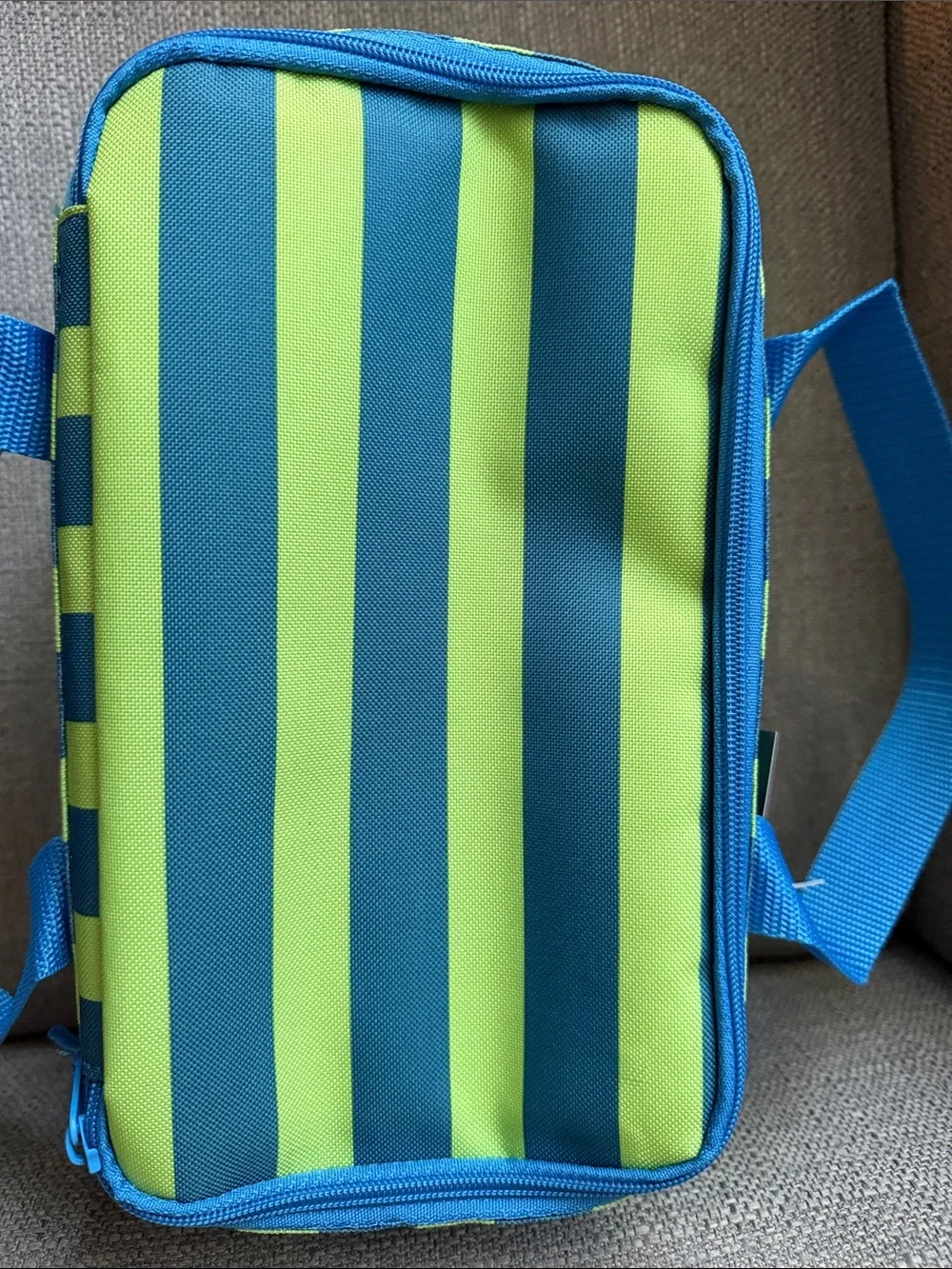 Striped Mini Insulated Bag in Blue & Green